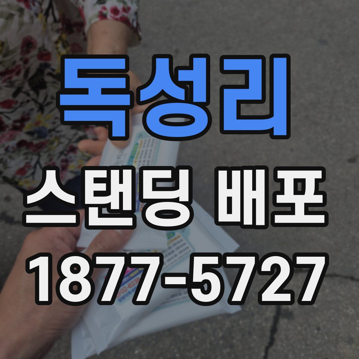 독성리 스탠딩 배포