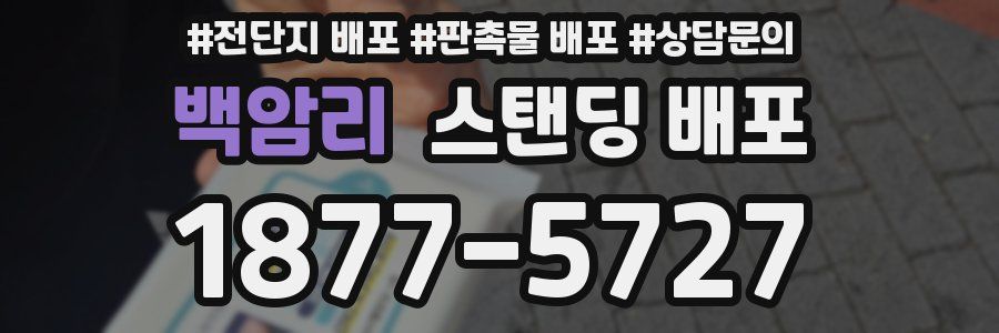 백암리 스탠딩 배포