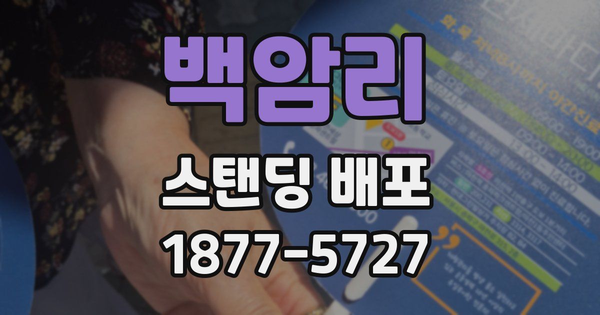 백암리 스탠딩 배포