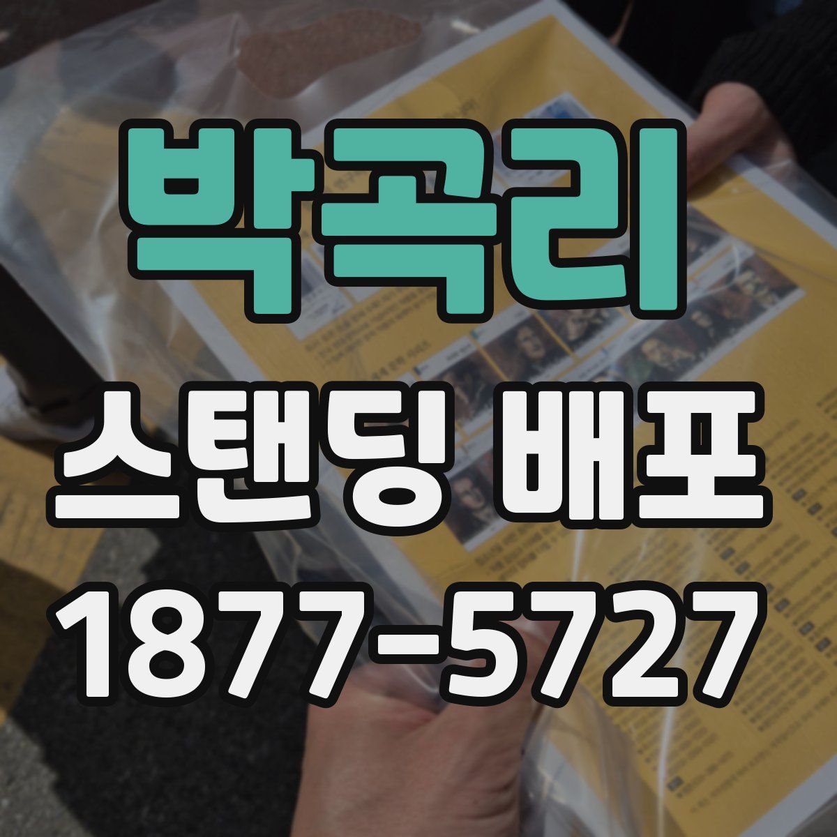 박곡리 스탠딩 배포