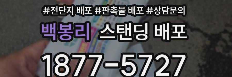 백봉리 스탠딩 배포