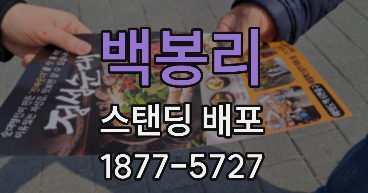 백봉리 스탠딩 배포