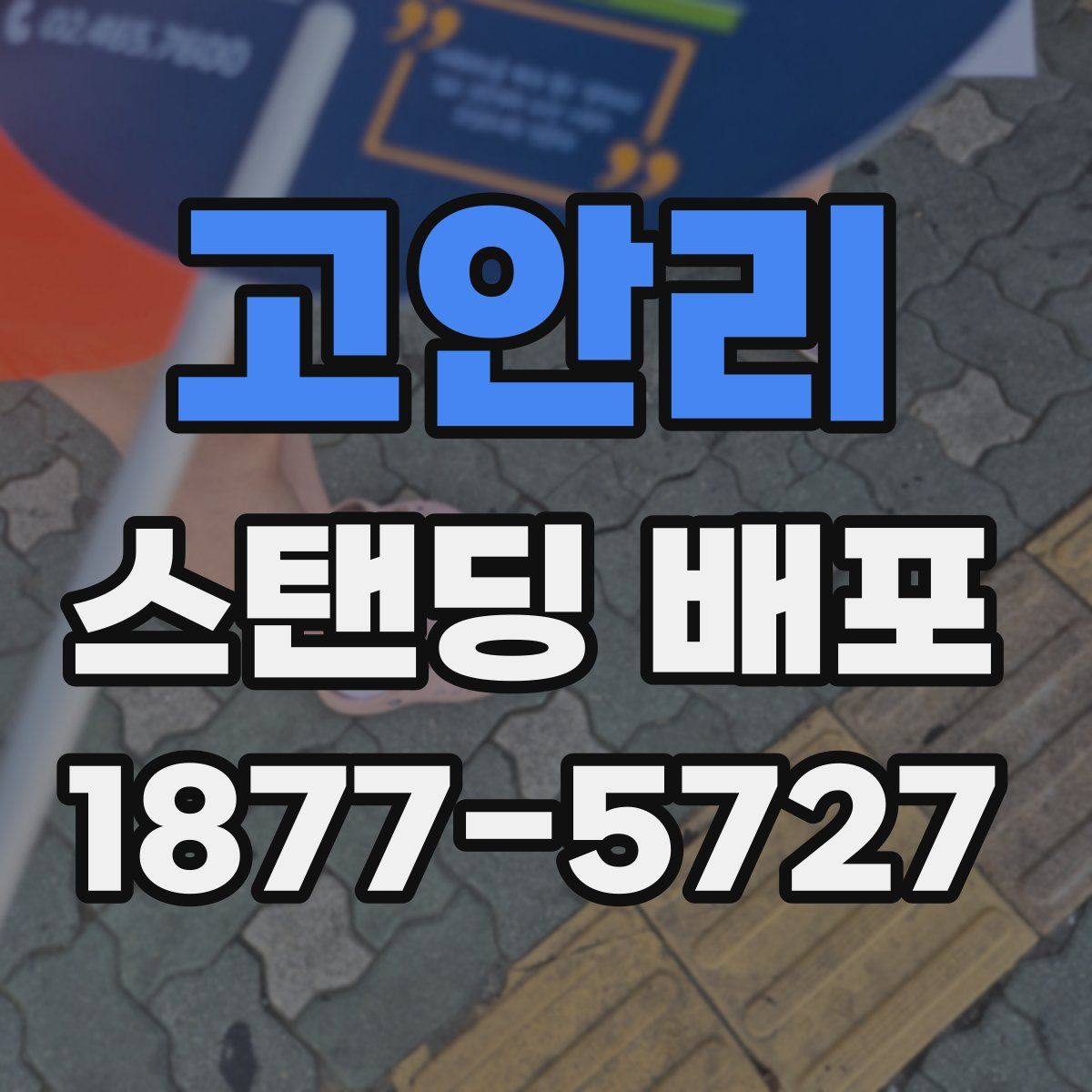 고안리 스탠딩 배포