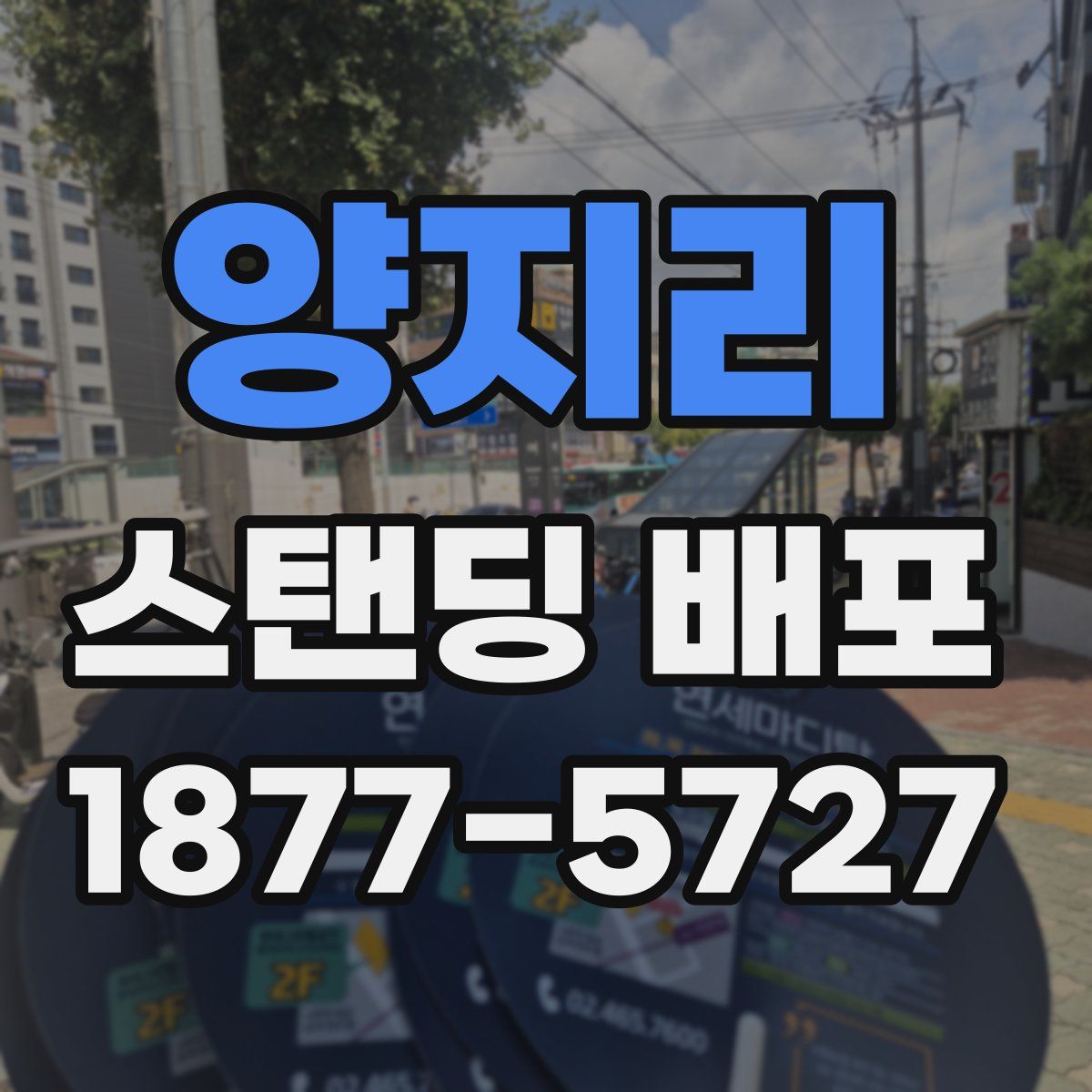 양지리 스탠딩 배포