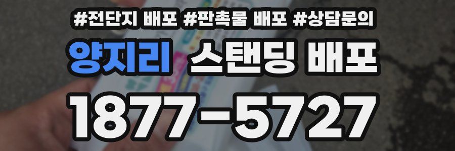 양지리 스탠딩 배포