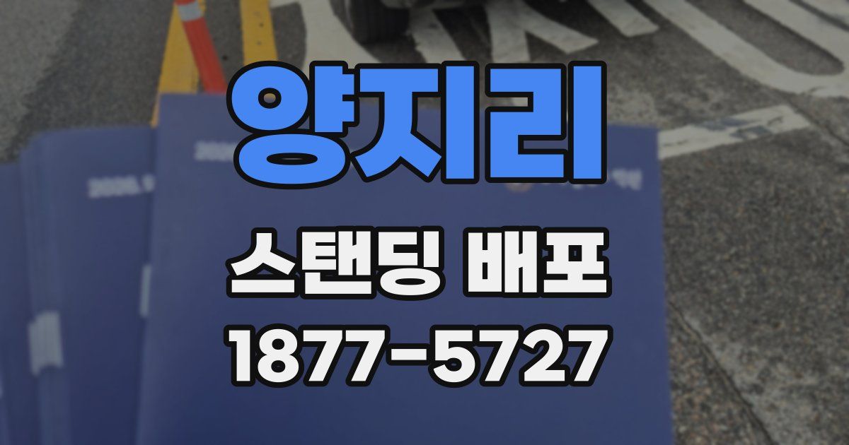 양지리 스탠딩 배포