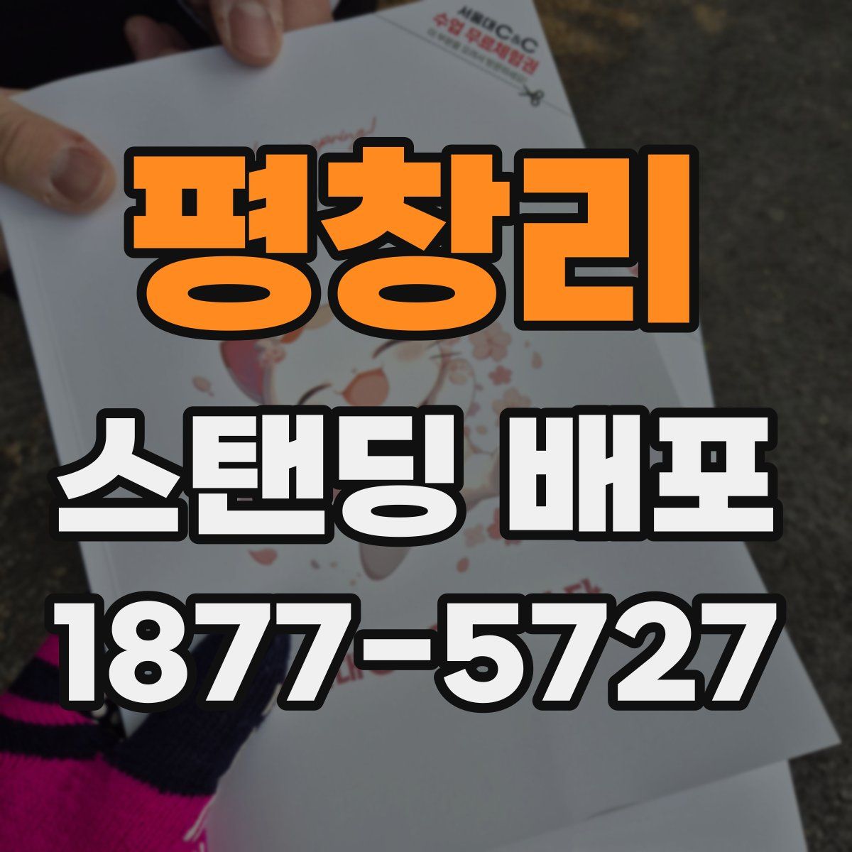 평창리 스탠딩 배포