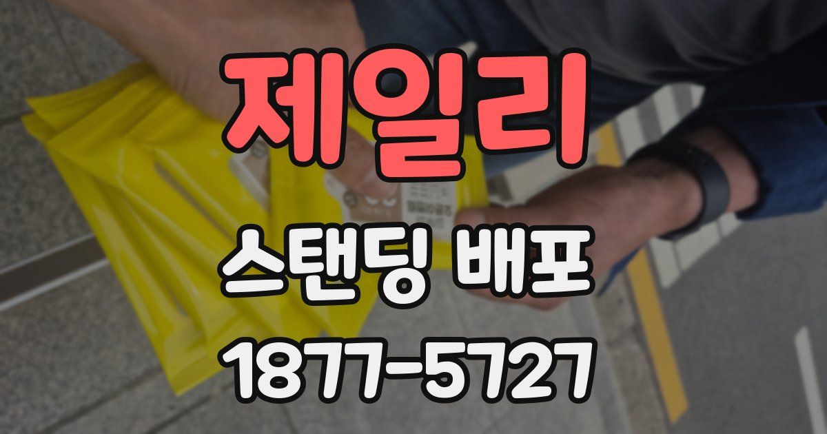 제일리 스탠딩 배포