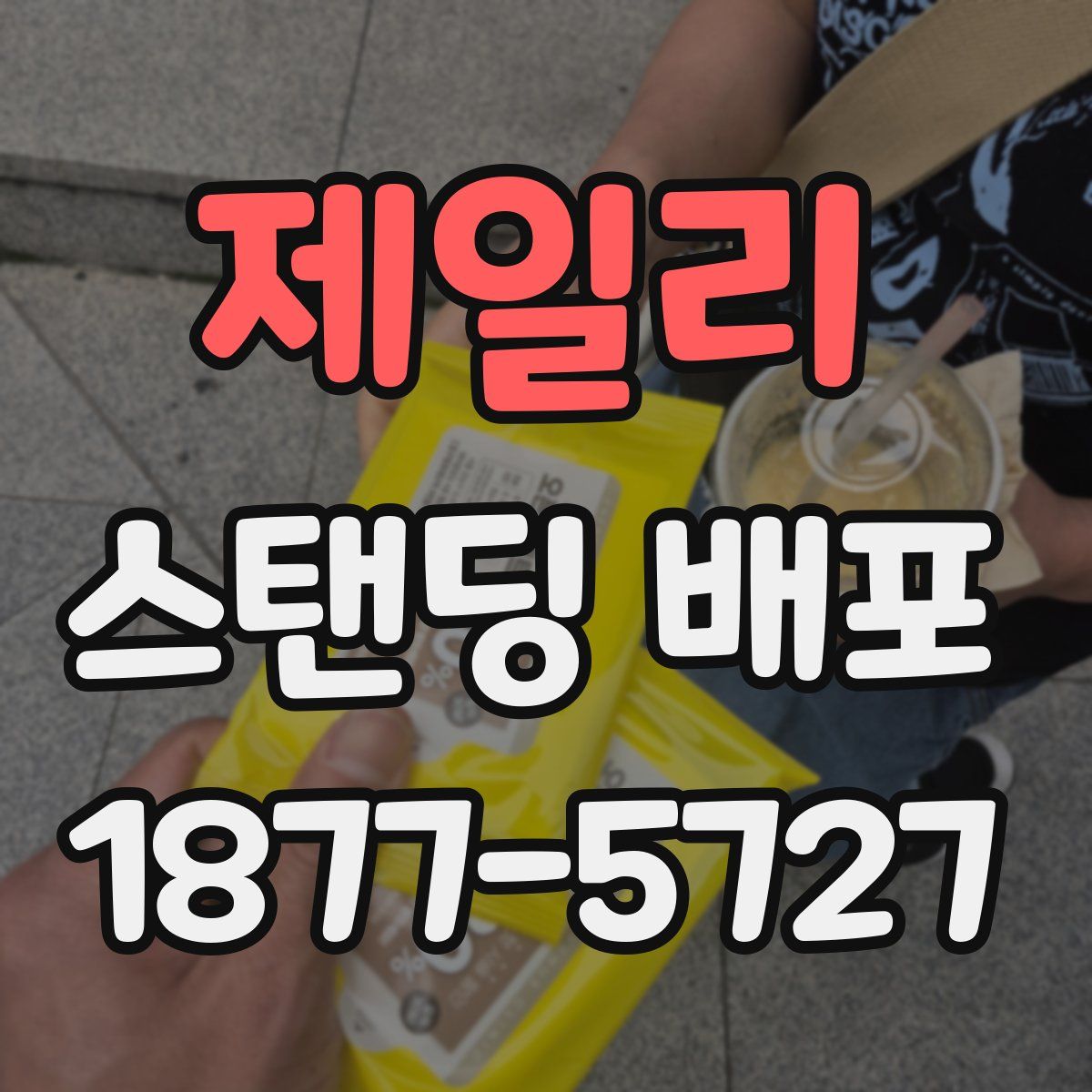 제일리 스탠딩 배포
