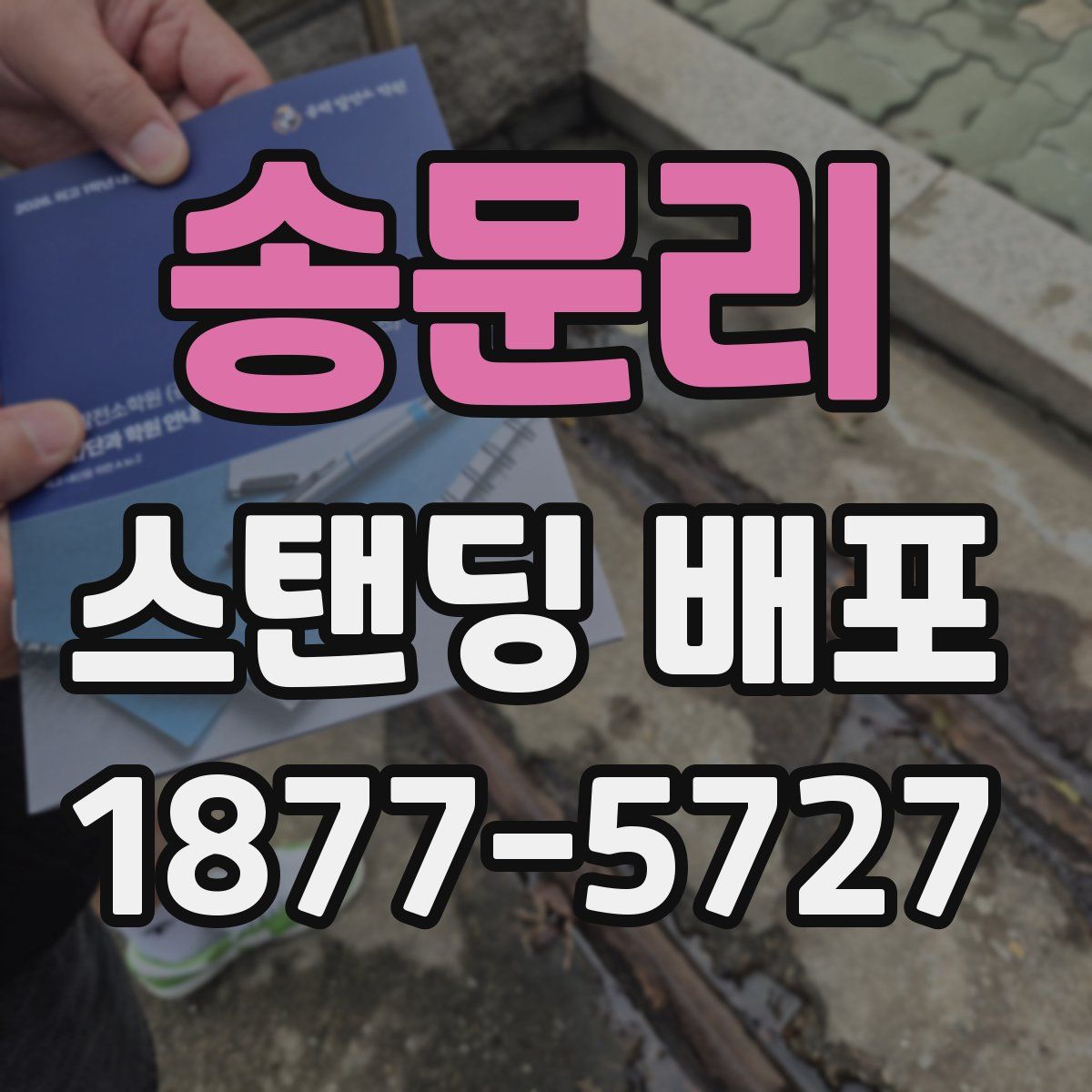 송문리 스탠딩 배포