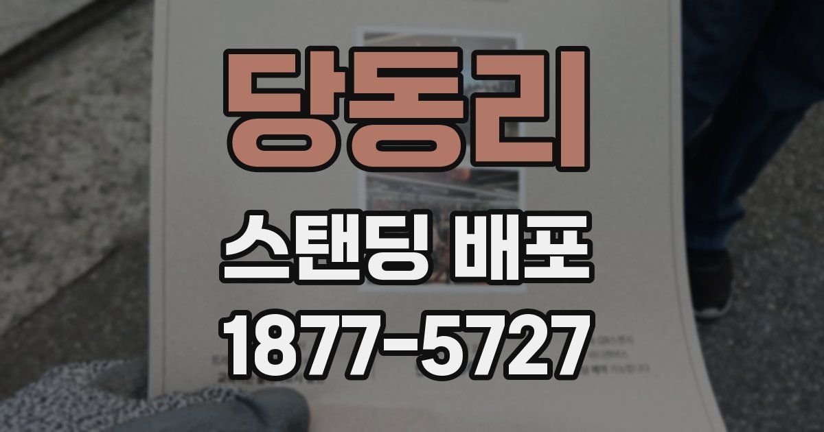당동리 스탠딩 배포