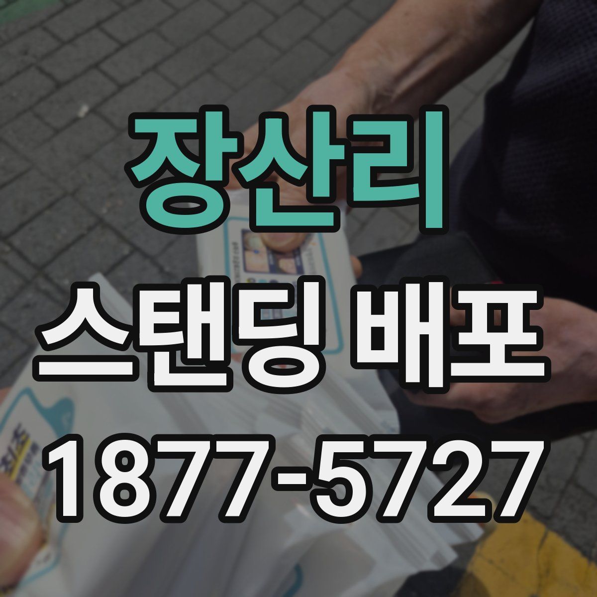 장산리 스탠딩 배포