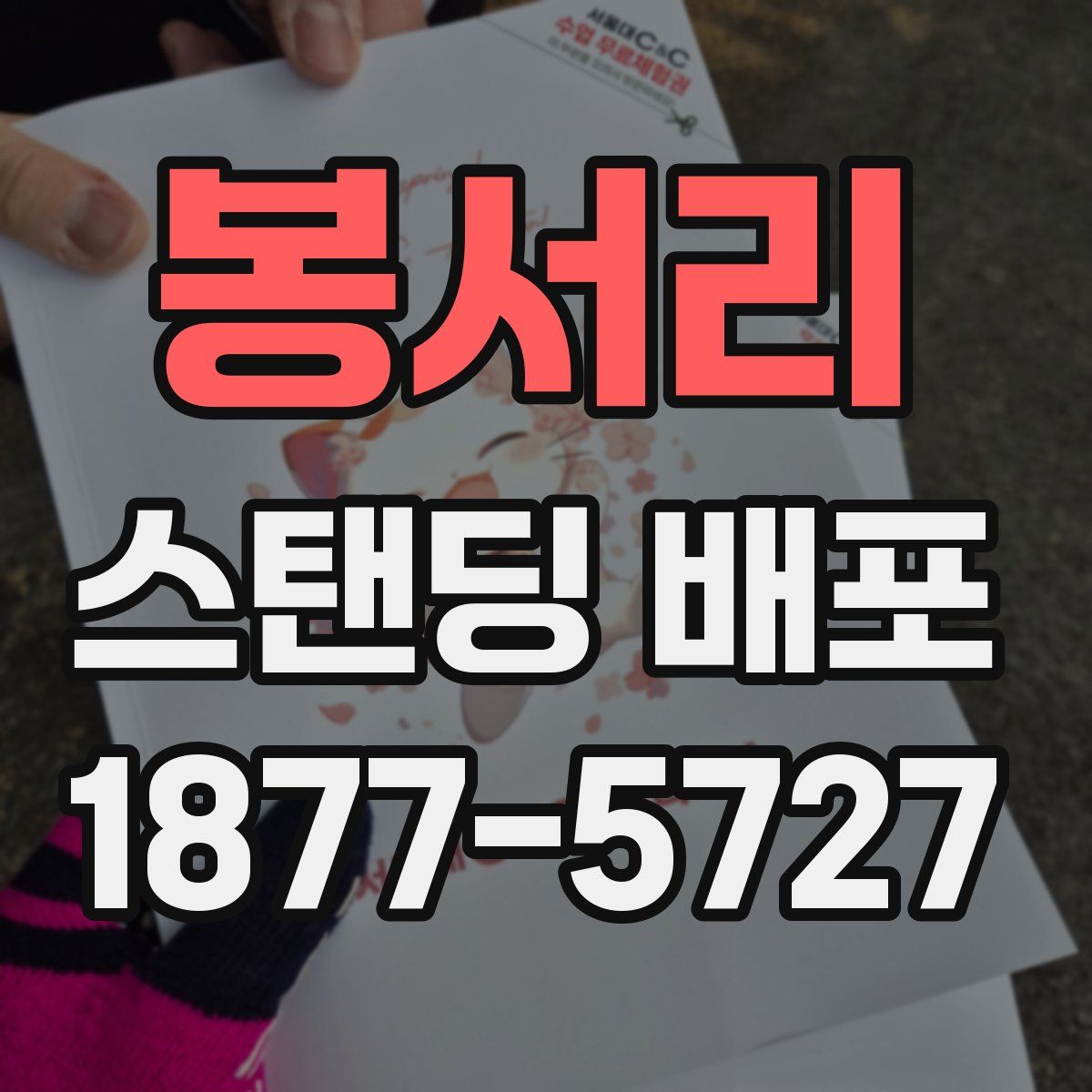 봉서리 스탠딩 배포