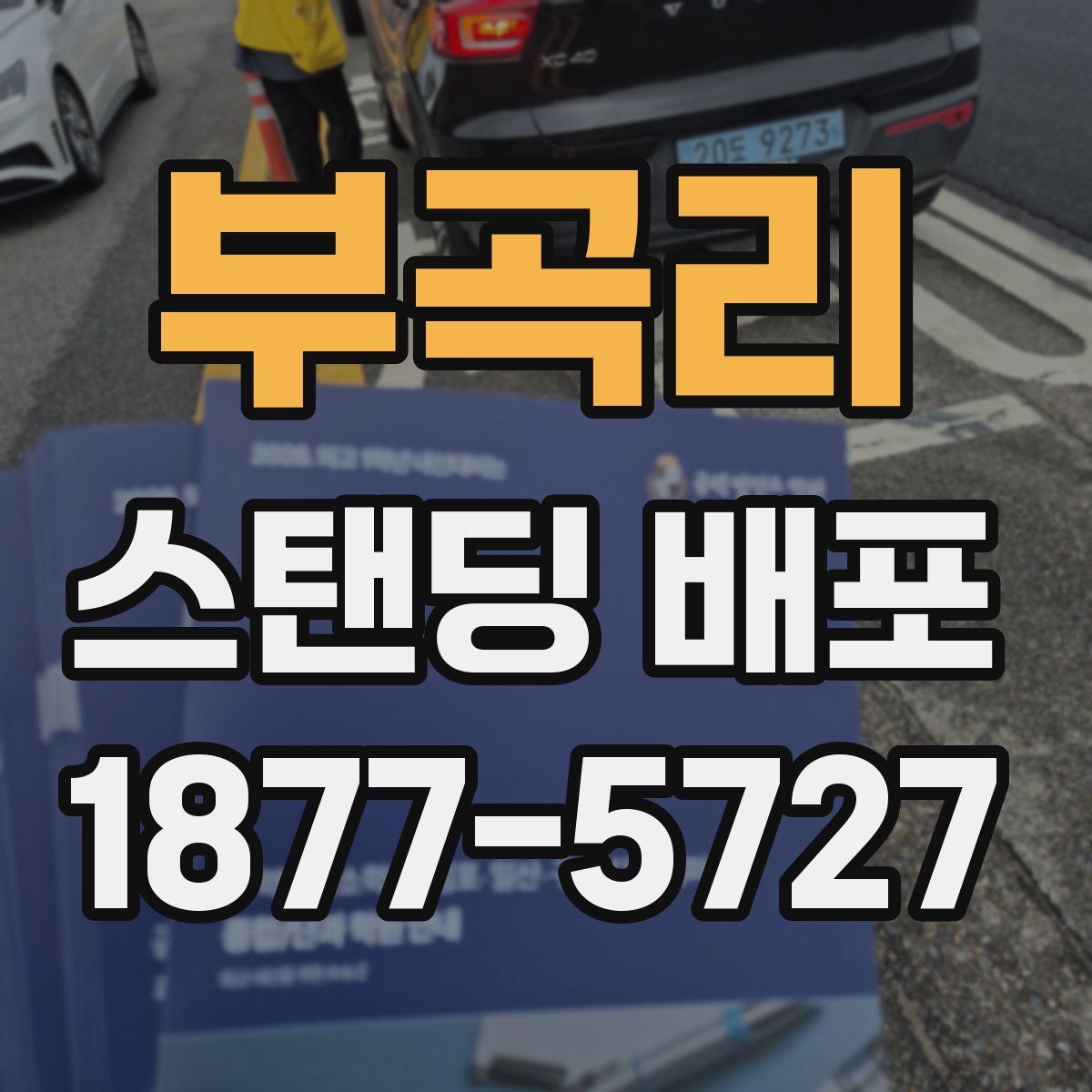 부곡리 스탠딩 배포