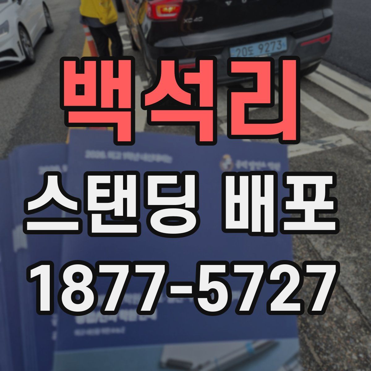 백석리 스탠딩 배포