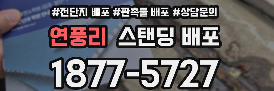 연풍리 스탠딩 배포