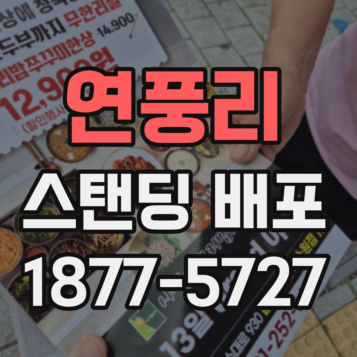 연풍리 스탠딩 배포