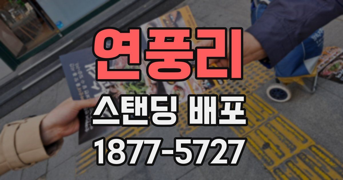 연풍리 스탠딩 배포