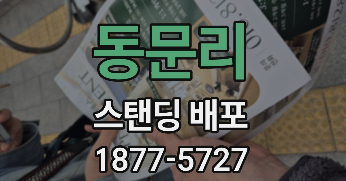 동문리 스탠딩 배포