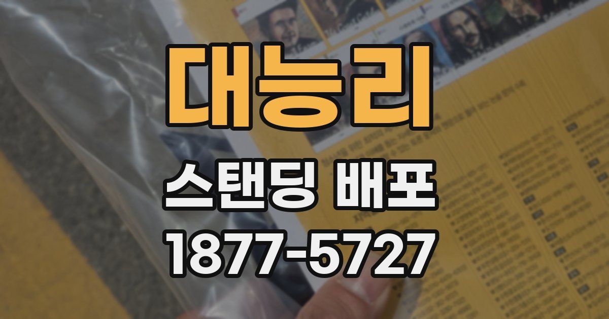 대능리 스탠딩 배포