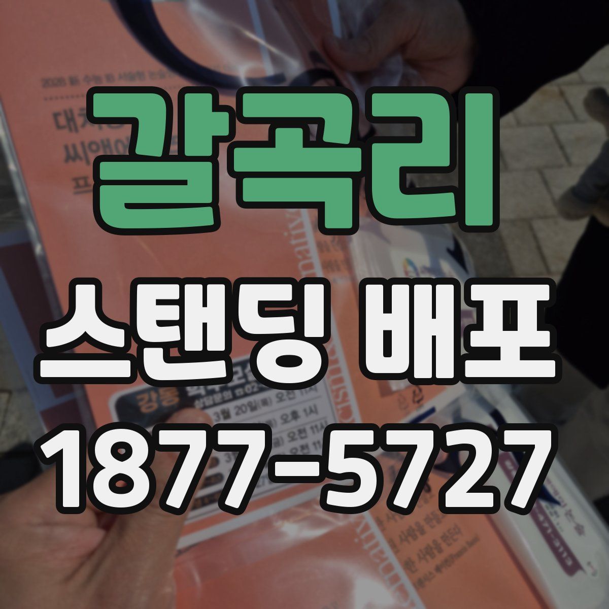 갈곡리 스탠딩 배포