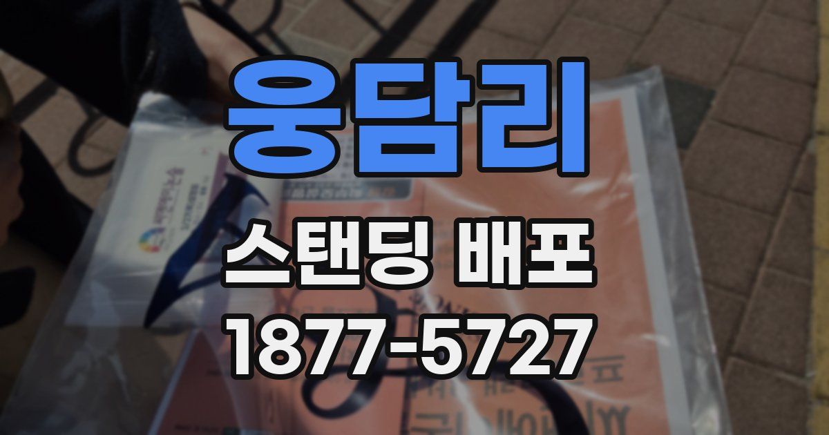 웅담리 스탠딩 배포