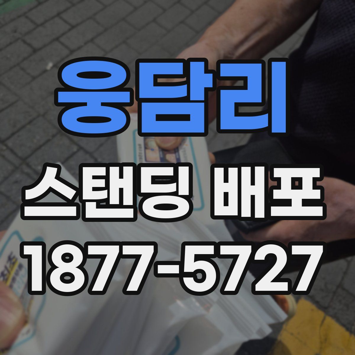 웅담리 스탠딩 배포