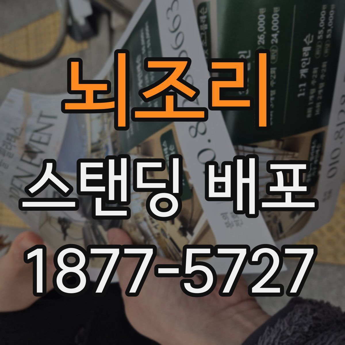 뇌조리 스탠딩 배포