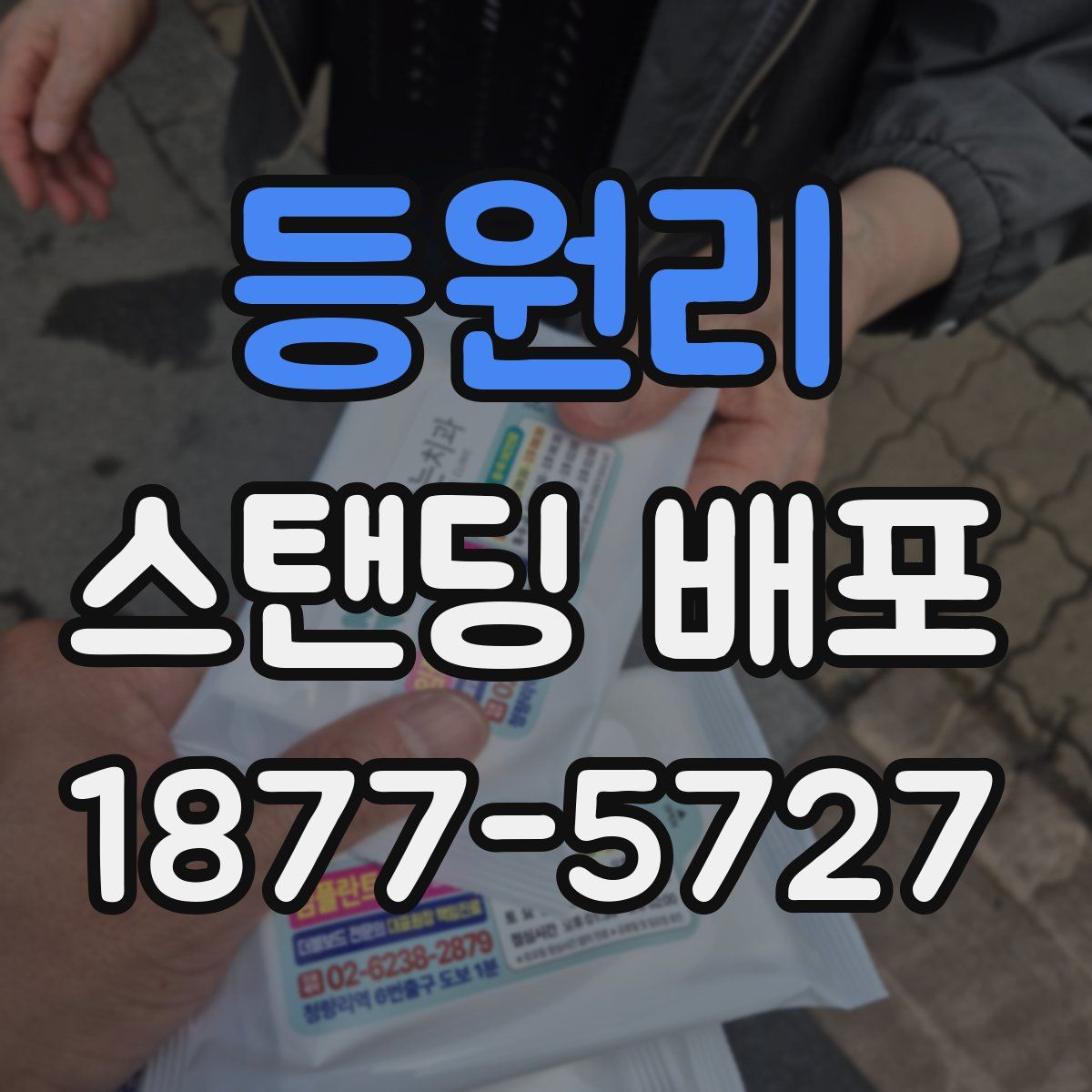 등원리 스탠딩 배포