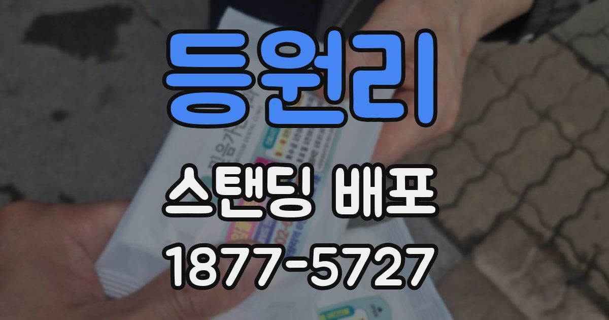 등원리 스탠딩 배포