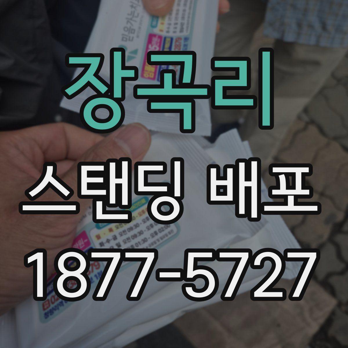 장곡리 스탠딩 배포