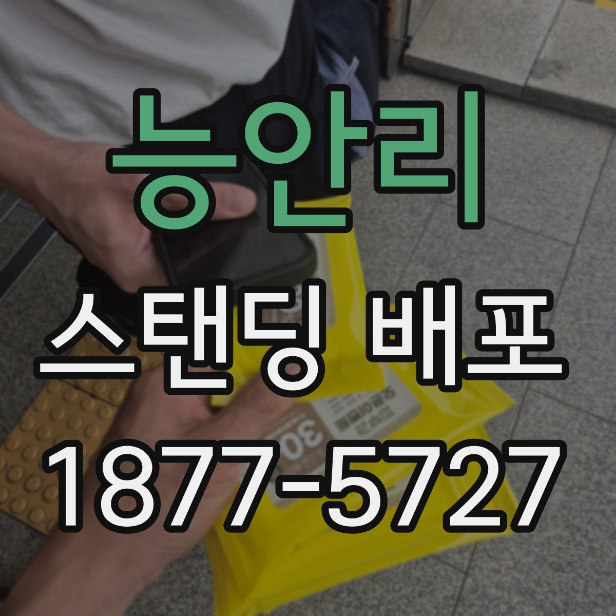 능안리 스탠딩 배포