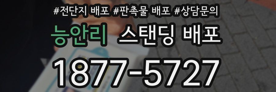 능안리 스탠딩 배포