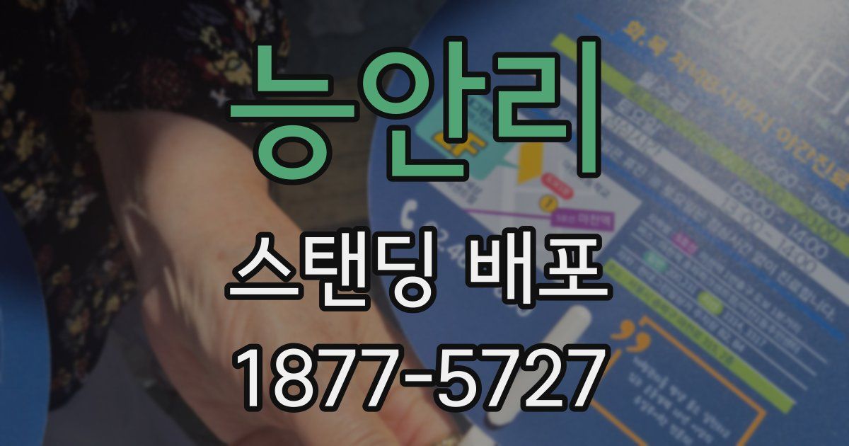 능안리 스탠딩 배포