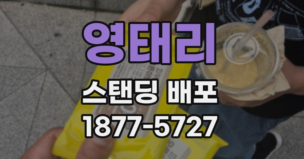 영태리 스탠딩 배포