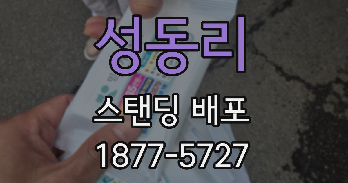 성동리 스탠딩 배포
