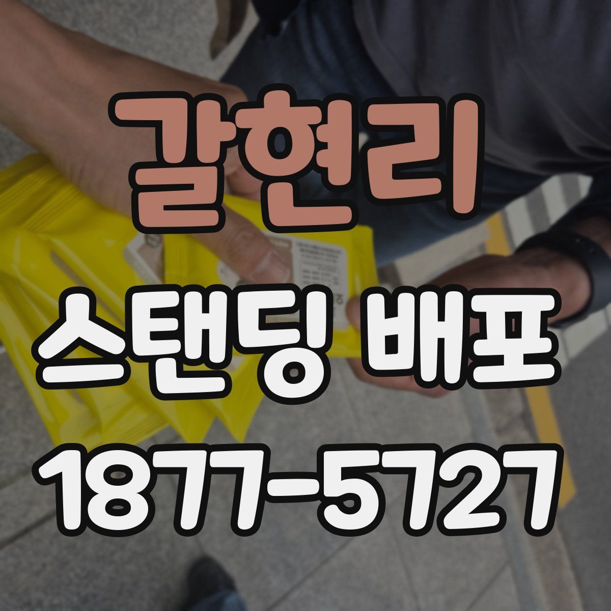 갈현리 스탠딩 배포