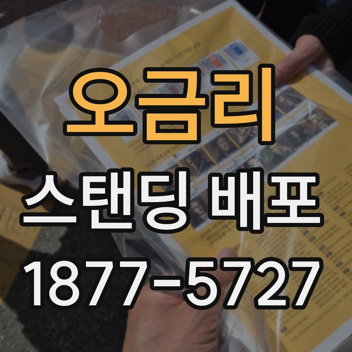 오금리 스탠딩 배포