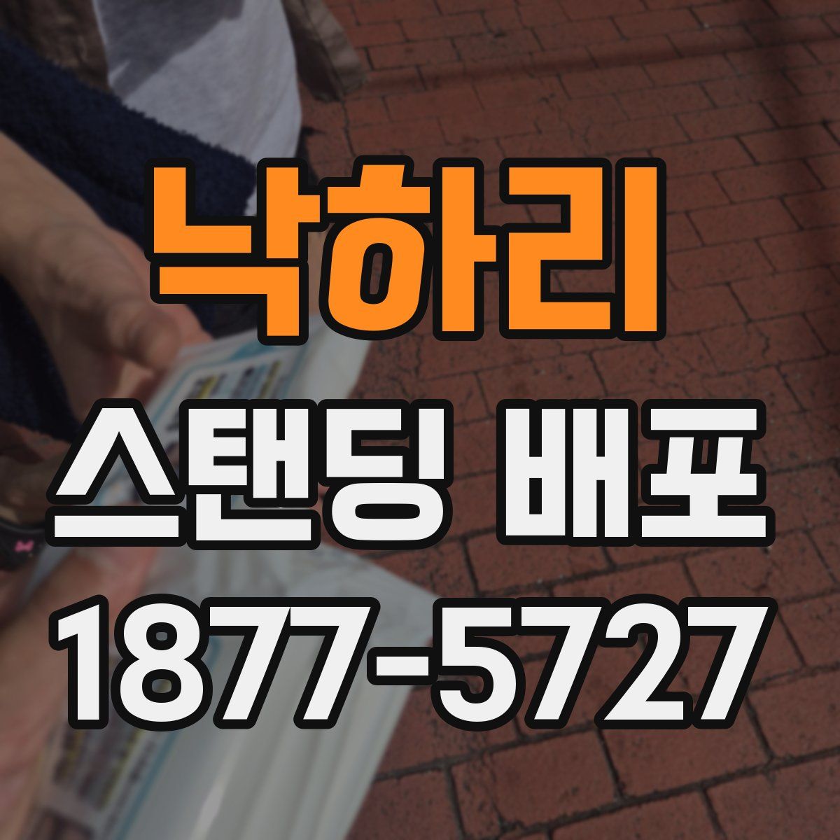 낙하리 스탠딩 배포