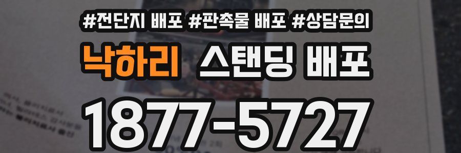 낙하리 스탠딩 배포