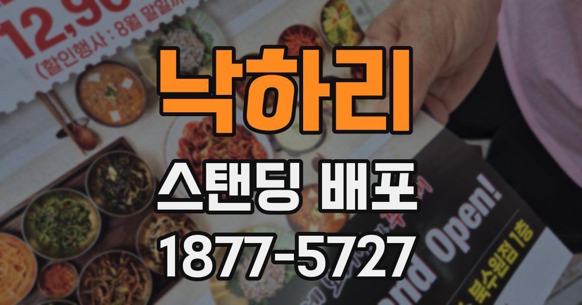 낙하리 스탠딩 배포