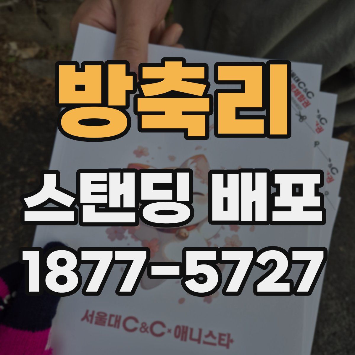 방축리 스탠딩 배포