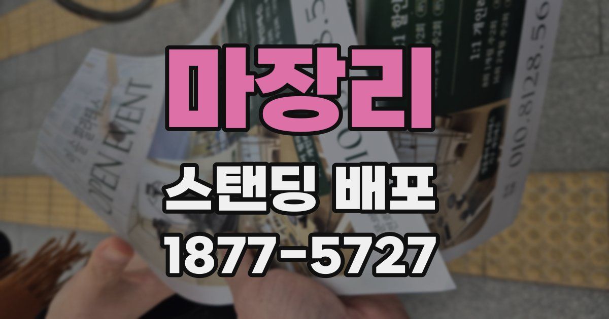마장리 스탠딩 배포