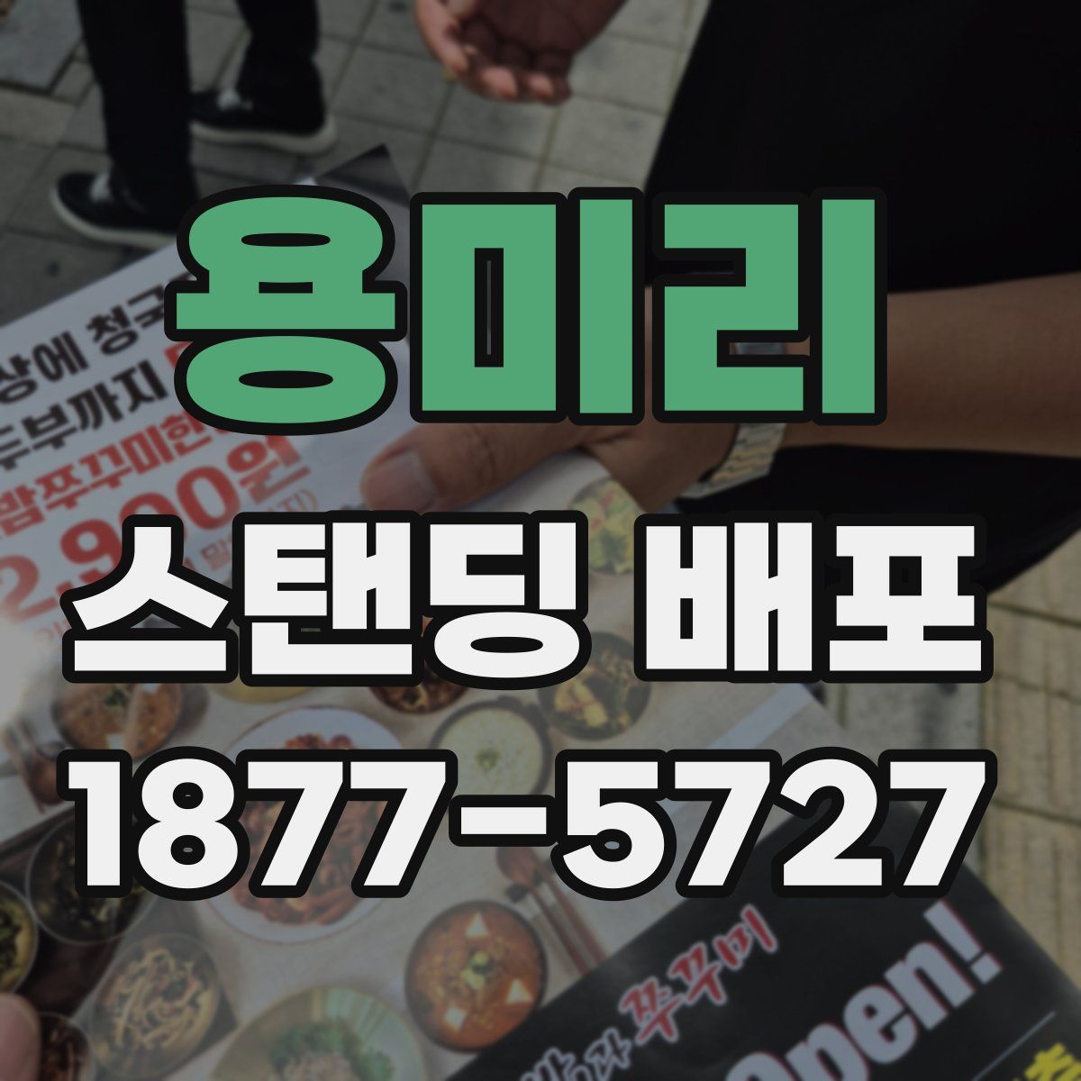 용미리 스탠딩 배포