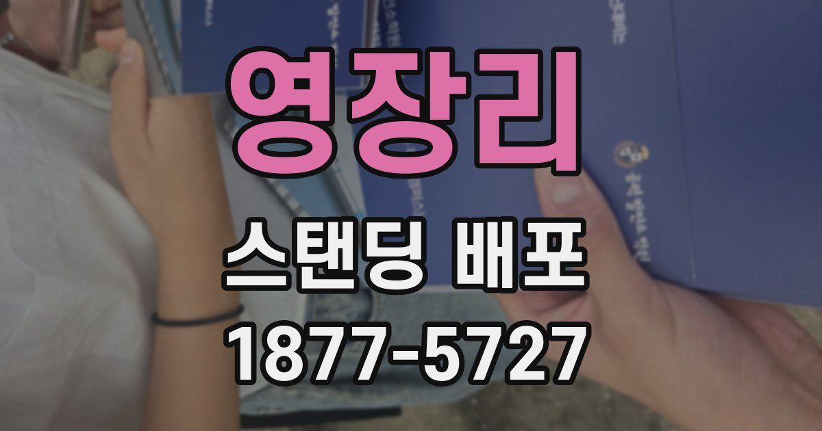 영장리 스탠딩 배포