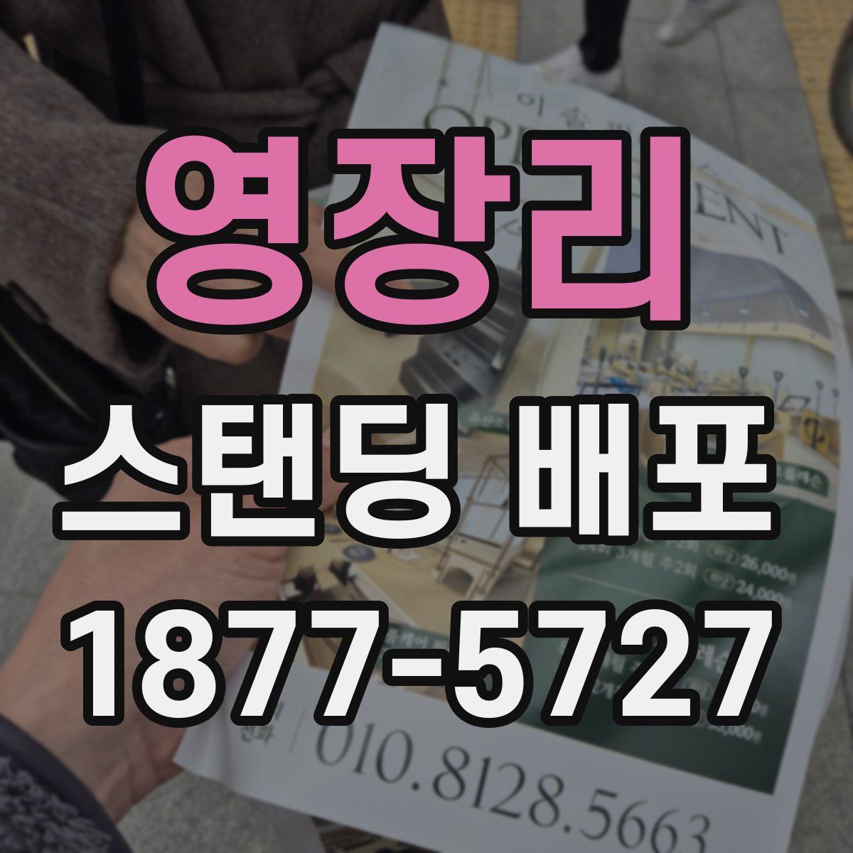 영장리 스탠딩 배포
