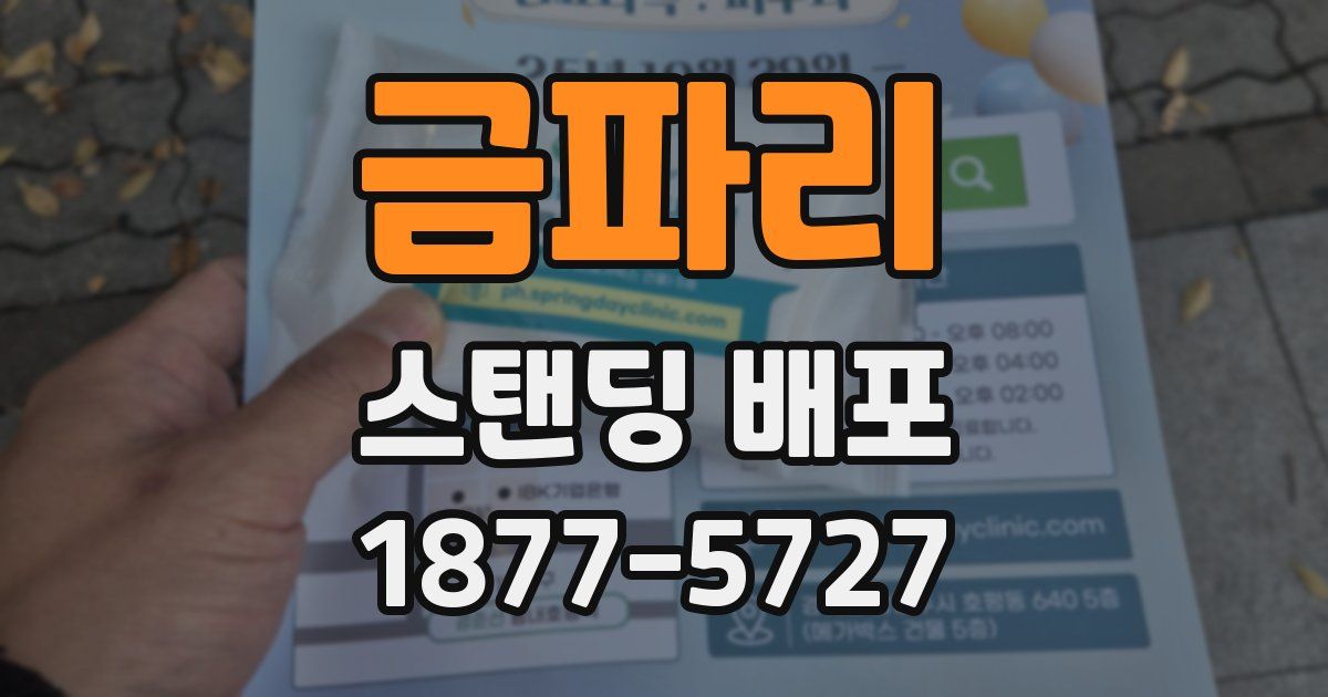 금파리 스탠딩 배포