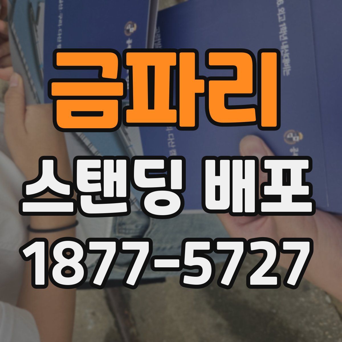 금파리 스탠딩 배포