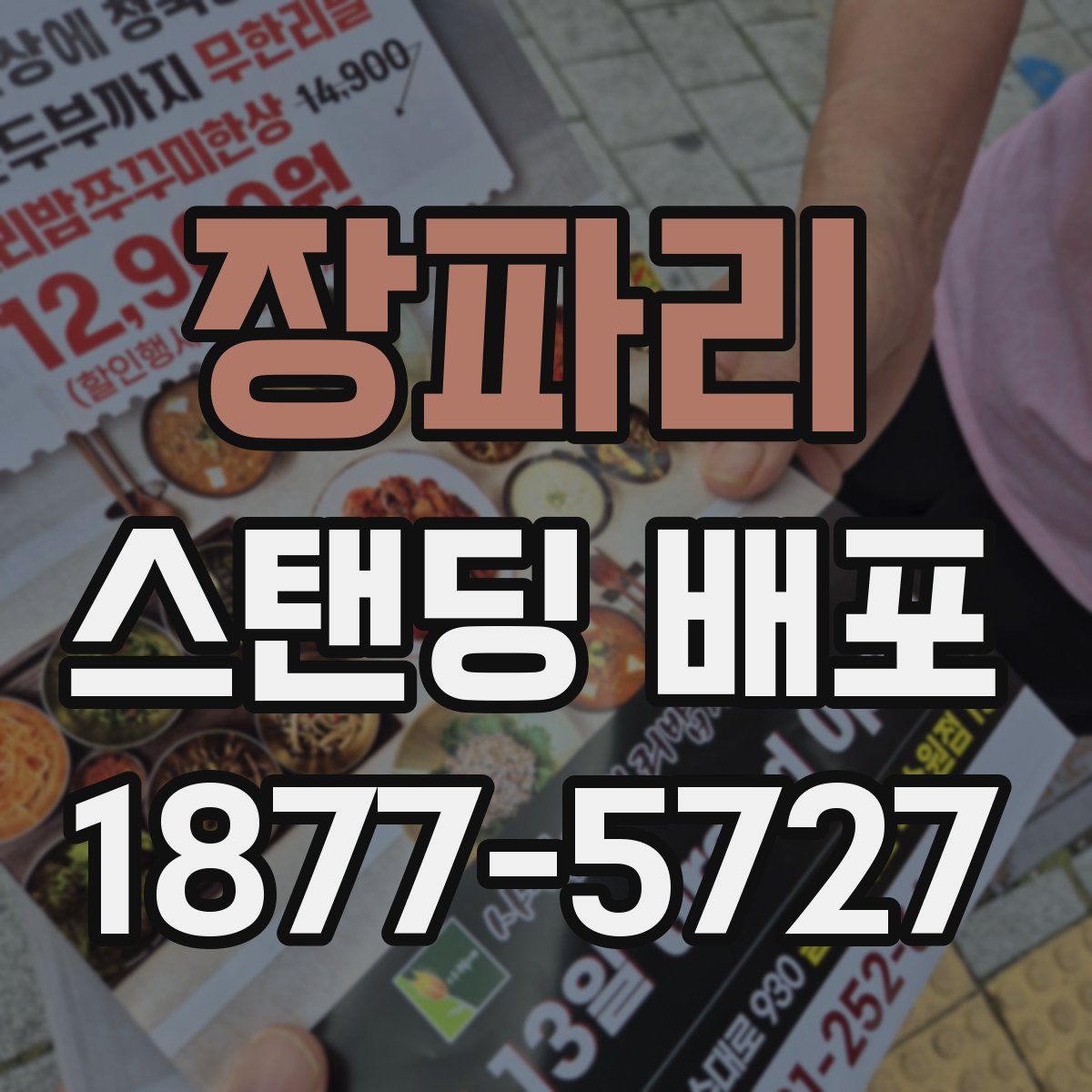 장파리 스탠딩 배포