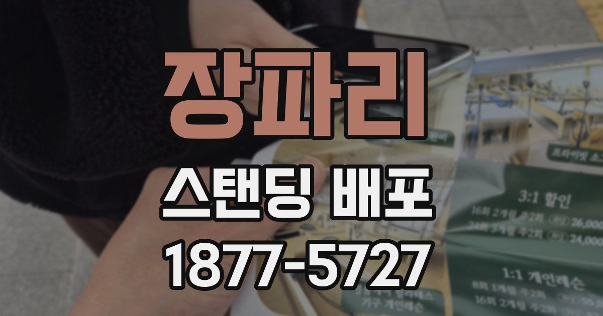 장파리 스탠딩 배포